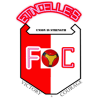 艾丁切尔斯队徽